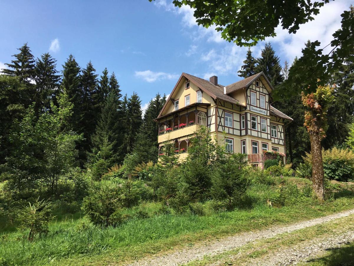 Haus Sonnenblick Apartment Benneckenstein Exterior photo